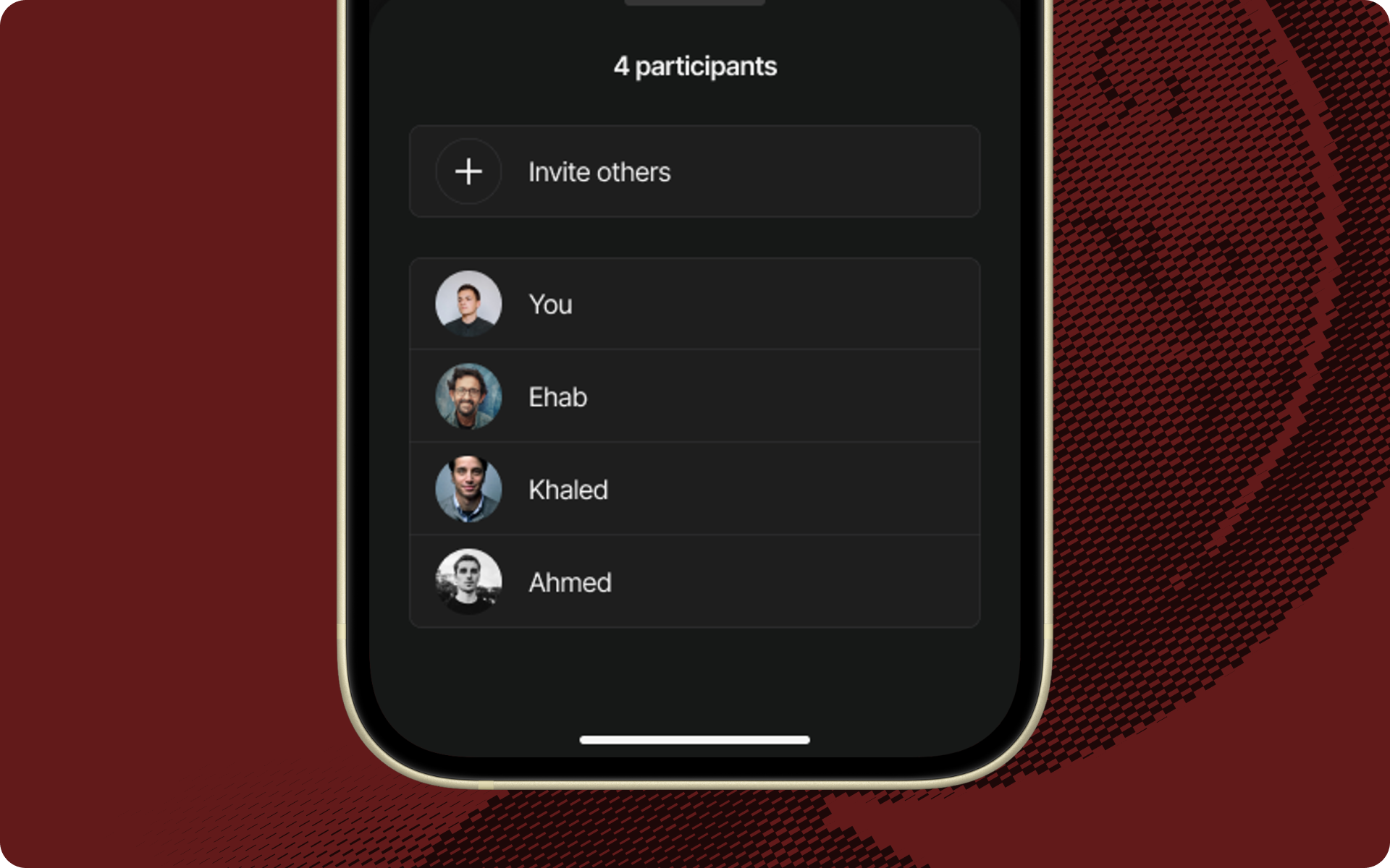 vCall Showcase