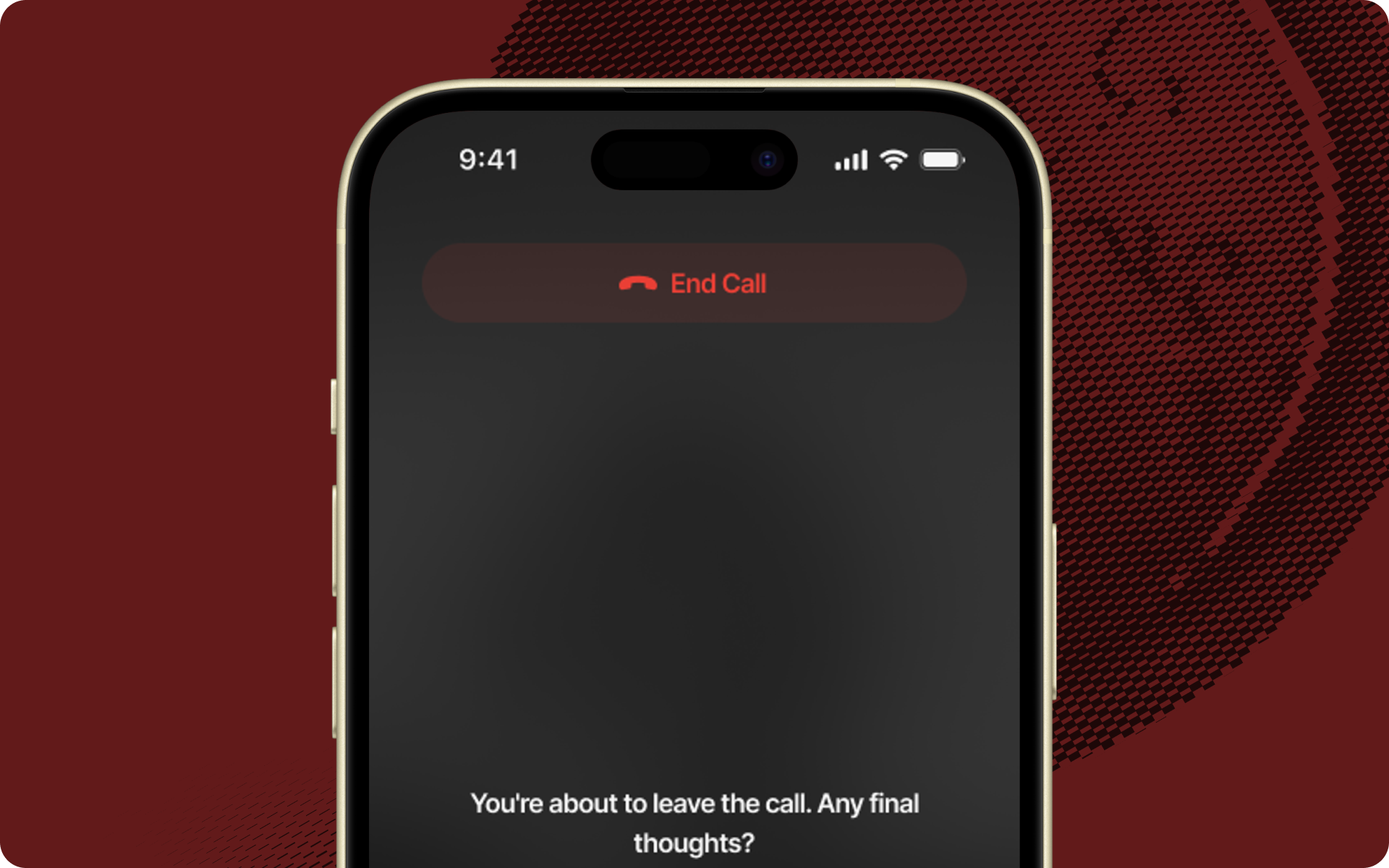 vCall Showcase